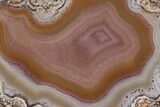 Colorful, Polished Condor Agate - Argentina #209605-1
